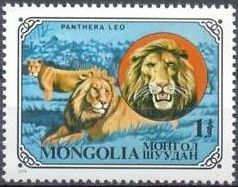 Lion (Panthera leo)