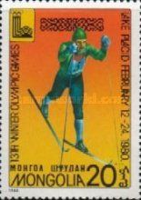 Cross-country Skiing