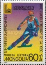 Slalom Skiing