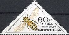 European Honey Bee (Apis mellifera)