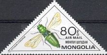 Giant Ruby-tailed Wasp (Stilbum cyanurum)