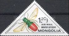 Jewel Wasp (Parnopes grandior)