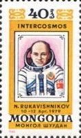 N. Rukavishnikov