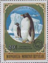 Adelie Penguin (Pygoscelis adeliae)