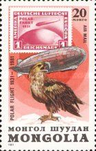 White-tailed Eagle (Haliaeetus albicilla)