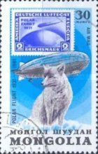 Polar Fox (Vulpes lagopus)