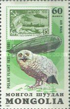 Snowy Owl (Bubo scandiacus)