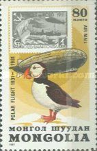 Atlantic Puffin (Fratercula arctica)