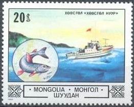 Fish and boat