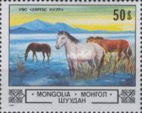 Horse (Equus ferus caballus) at Uvs Lake