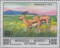 Goitered Gazelle (Gazella subgutturosa) in Bajanchongor Step