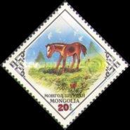The Foal