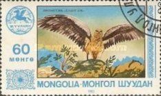 Bird of Prey
