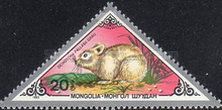 Pallas's Pika (Ochotona pallasii)