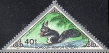 Eurasian Red Squirrel (Sciurus vulgaris)