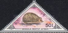 Daurian Hedgehog (Erinaceus dauricus)