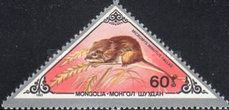 Eurasian Harvest Mouse (Micromys minutus)