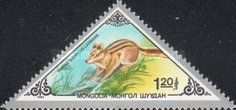 Siberian Chipmunk (Tamias sibiricus)