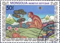 Monkey and Tree