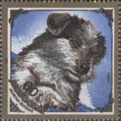 Dog Puppy (Canis lupus familiaris)