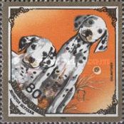 Dalmatian Dog (Canis lupus familiaris)