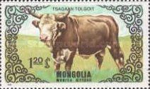 Tsagaan Tolgoit (Bos primigenius taurus)