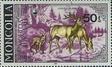 Red Deer (Cervus elaphus) - Adults, Fawn