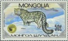 Snow Leopard (Panthera uncia)