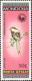 Reed Parrotbill (Paradoxornis heudei)