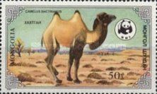 Bactrian Camel (Camelus bactrianus)