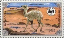 Bactrian Camel (Camelus bactrianus)