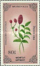Gresat Burnet (Sanguisorba officinalis)