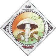Agaricus silvaticus