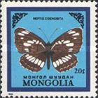 Butterfly (Neptis coenobita)