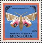 Eyed Hawk-moth (Smerinthus ocellata)