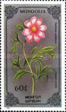 Paeonia anomala