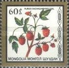 Rubus sachalinensis
