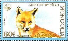 Red Fox (Vulpes vulpes)