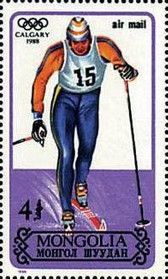 Cross-country skiing