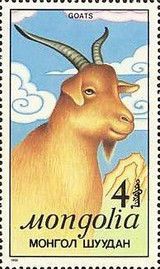 Goat (Capra aegagrus hircus)