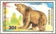Syrian Brown Bear (Ursus arctos syriacus)