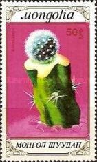 Notocactus haselbergii