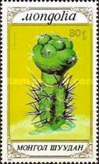 Cleistocactus strausii