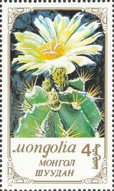 Astrophytum ornatum