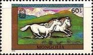 Horses