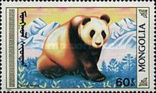 Giant Panda (Ailuropoda melanoleuca)