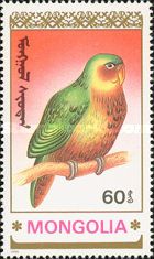 Kakapo (Strigops habroptilus)