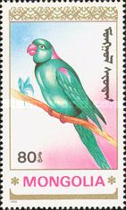 Alexandrine Parakeet (Psittacula eupatria)