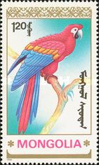 Scarlet Macaw (Ara macao)