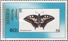 Swallowtail (Papilio machaon)